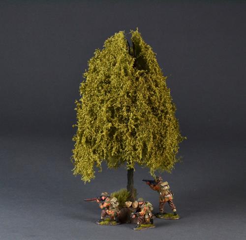Large weeping willow tree